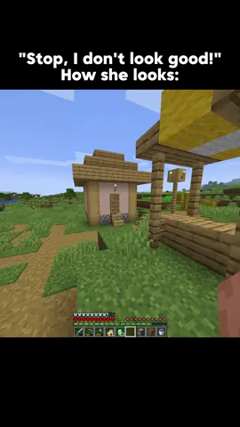 How she says she looks 💔 #Minecraft #minecraftmemes #minecraftmeme #repost #girlfriend 