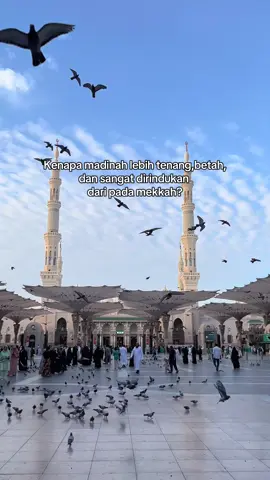 Ada yang merasa lebih rindu madinah dari pada mekkah atau sebaliknya?  Semoga kita semua di berikan rezeki untuk menunaikan haji atau umroh setiap tahun Aaamiiin 🤲🏻 #umrah #madina #vibes #rindu 