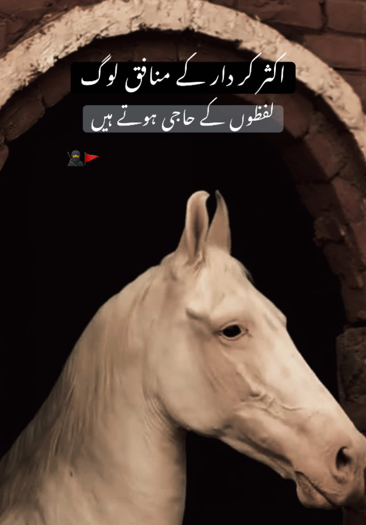 HAN G💀’ . . . #fyp #sultanwrite34 #viraltiktok #foryoupage #millionviews 