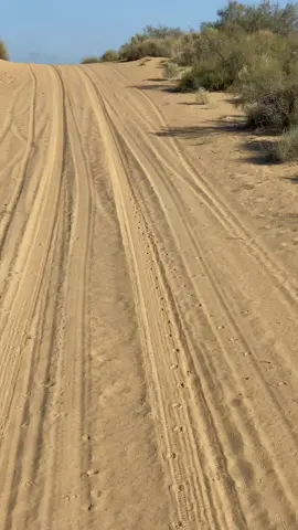 #desert #cholistan #روہی 