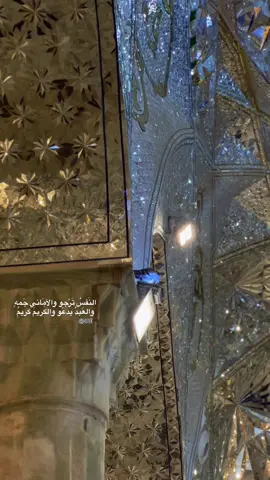 #العلويه_شريفة_بنت_الامام_الحسن #fyp #viral #viralvideo #الحله 