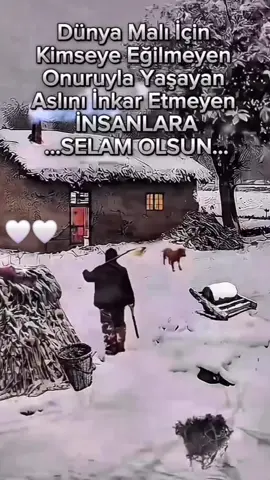 #yureqim_surqun #fyp #nederland🇳🇱 #tiktokviral #keşfetteyizzz 