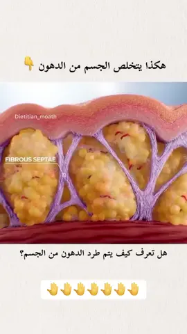 #تمارين #tiktokindia #رياضة #health #tiktokindia 