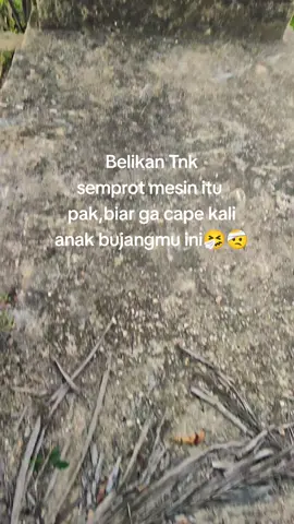 sakit pinggang pak🤧#petanihiburan #petanipadi🌾 #masukberandafyp #viraltiktok 