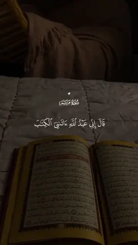 تلاوة خاشعة من سورة مريم🤍 #قران #قران_كريم #quran#★彡حہٰمزة彡★ 