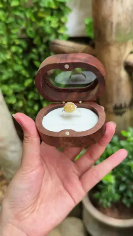 Nhẫn bạc ta mix thạch anh tóc vàng – biểu tượng thu hút tài lộc & thịnh vượng. Chiếc nhẫn túi tiền không chỉ là trang sức, mà còn là bùa hộ mệnh mang may mắn đến cho bạn. Đeo vào để mỗi ngày đều đủ đầy, bình an và thu hút cơ hội mới 💛💍#anangems #xuhuongtiktok #viralvideo #phongthuycaivan 