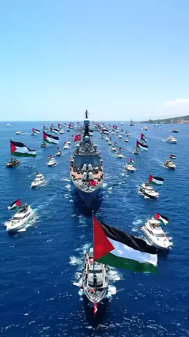 global samood flotilla to Gaza #gaza #flotila #palestine🇵🇸 #fbviral #viralvedio 