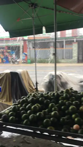 👍🏼👍🏼