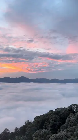 พื้นที่สีเขียว+หมอก=ฮิลใจ⛰️🌫️#ธรรมชาติ #ผาอโศก_สุคิริน_นราธิวาส @ผาอโศก(สุคิริน) 