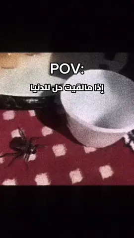 إذا ما لقيت حل للدنيا اكل سناك يروقك #fyp #viral #fyppppppppppppppppppppppp #fypシ゚viral🖤tiktok #fypシ゚viral🖤tiktok☆♡🦋myvideo 