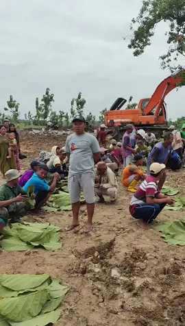 Seperti inilah gambarannya saat sedulur Sikep Samin di Blora menggelar kegiatan tradisi.  untuk pembacaan doa dalam bahasa jawa cekak aos pendek tapi penuh makna.  Monggo nderek bancakan ratusan ingkung lur...  #alarifblora #blusukanndeso #blusukanblora #sahabatalarifblora #dolanblora 