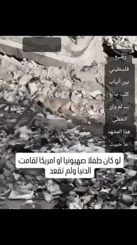 #العراق🇮🇶❤️ #العراق🇮🇶 #اكسبلور_تيك_توك #الوطن_العربي_تيك_توك #الخليج_العربي 