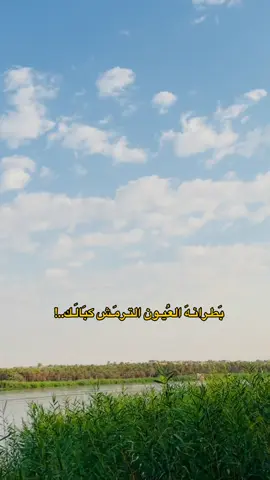 #ستوريات #حب #حديثه_عذراء_الانبار 