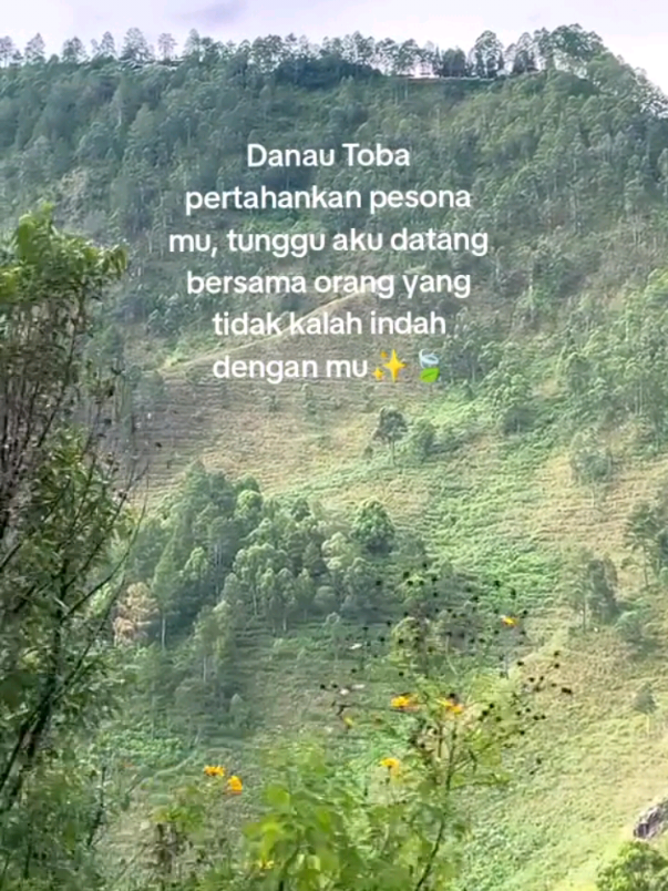 rohaku+danautoba:pigi  denganmu kapan?😜 #fypシ #danautobasamosir #danautoba #foryou #4u #xyzbca 