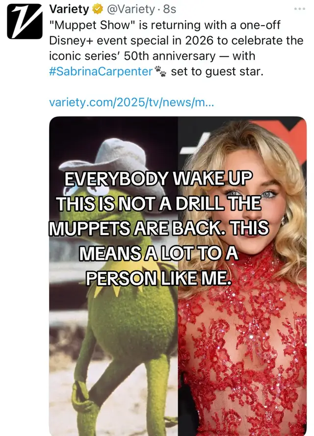 #muppets #themuppetshow #sabrinacarpenter 