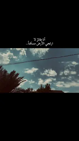 أنا طائرً لا ارتجي الأرض مسكنا 🤎#لايك__explore___ #اكسبلور #اعاده_نشر🔁 #fyp #شعر