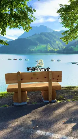 The most perfect bench I’ve ever seen #🇨🇭#switzerland #swiss #nature #mountains 