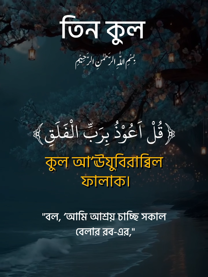 তিন কুল তেলাওয়াত। সুরা ইখলাস, সুরা ফালাক, সুরা নাস, #সুরা_ইখলাস  #সূরা_ফালাক #আয়াতুল_কুরসি #qurantilawat #foryou 