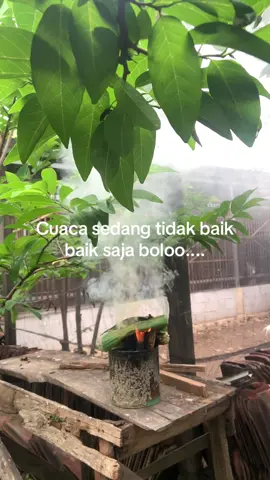 #cegah #penyakit #pasukansenyap952 #kudus 