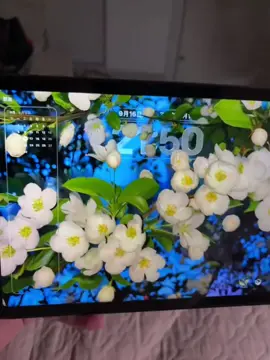 iOS 26 how to get 3D spatial wallpaper background for your iPhone. #ios26 #iphonewallpaper #4kwallpaper #fyp #livewallpaper How to set up iPhone wallpaper tutorial How to apply iPhone live wallpaper live wallpaper wallpaper iPhone wallpaper 8K wallpaper #CapCut #3dwallpaper #capcutforus #capcutpioneer #capcut