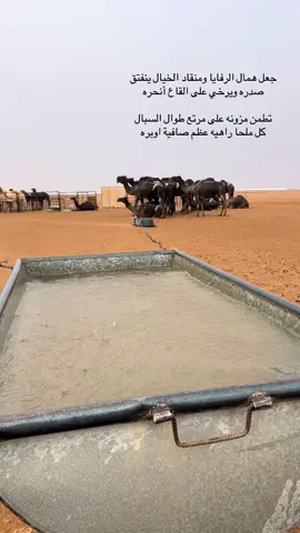#وادي_الدواسر #الخوه 