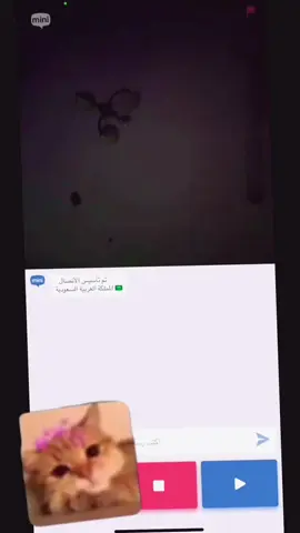#اوميتيفي #لايك #اكسبلورexplore #😂😂😂😂😂 