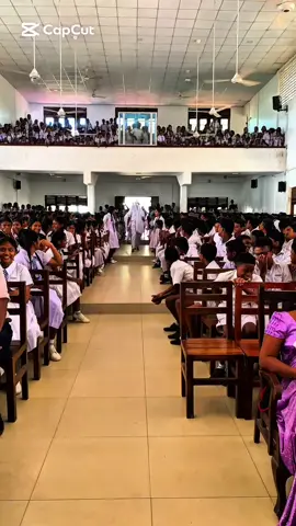 හැමොම හොයපු ඉස්කොලෙ කොල්ලොන්ගෙ ඉස්කොලෙ හොල්ලපු  orginal dance එක 😉  PL/Thopawewa National School Science 🫂🤍 2026 A/L Science 🩵 #foryoupage #school #viral #boys #fyp  @Black ⚫ heart ❤ ... @Thamidu @Tharuk2007  Members Names:- Sanuka Pamod Dhanidu Tharuk Gimal Uththara Thisum  Thamidu Bodhitha Matheesha Wageesha Chamod Buddhi