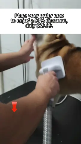 Try this multifunctional grooming device for pets.