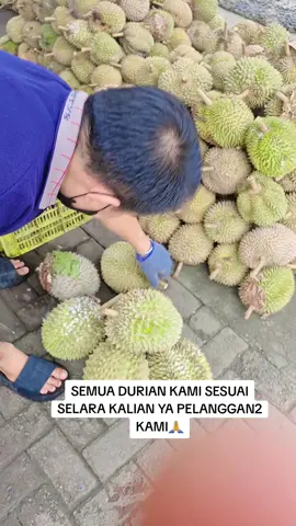 JLN.PANGLIMA DENAI NO.17 MEDAN AMPLAS 1 MENIT DARI PINTU TOL AMPLAS #DURIANNYAANAKMEDAN  #PRODUKZOOMDURIANMEDAN #OLEH2KHASMEDAN #BERGARANSI #promoseruweekend 