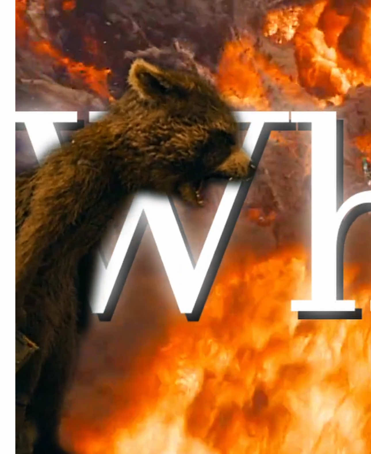 Rocket Raccoon #sad #guardiansofthegalaxy #wherehaveyoubeen #edit #viral 