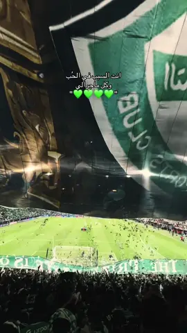#الاهلي انت السبب في الحب 💚 