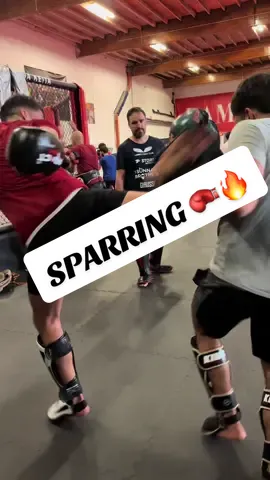 “Light sparring”🙌😎 #kickboxing #mma #fyp #sport #🇧🇪 