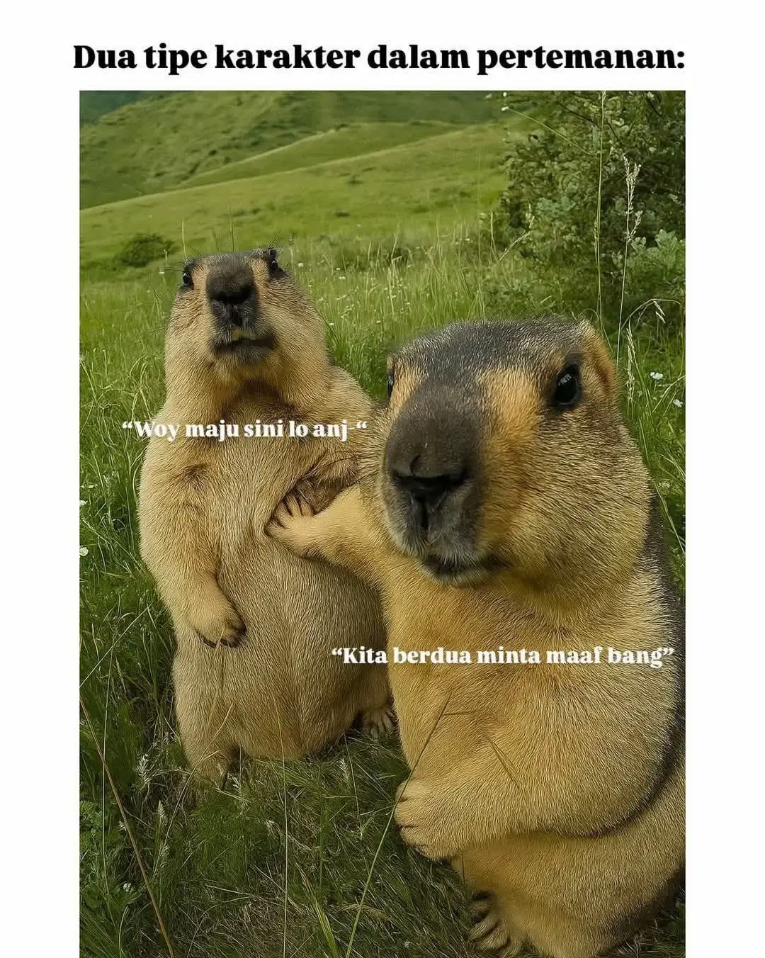 #foryoupage❤️❤️ #foryoupageofficiall #viraltiktok #soundviral 