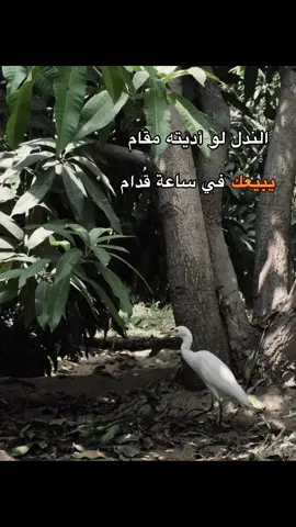 أبو هيبة… #فوتوغرافي #ثاندرو #تصويري📷 #سوهاج_قنا_اسيوط_اسوان_المنيا_الاقصر #البلينا 