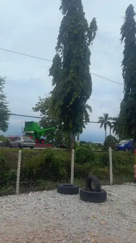 Macih abah bawak mama mancing #hobimancing #kampungpadi @kampung padi #fyppppp