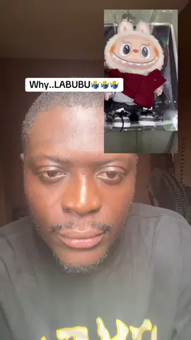 #labubu #labubu #fyp #viral #goviral 