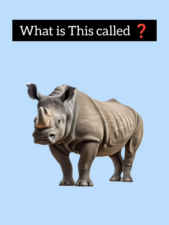 Learn Animal Names in English #LearnEnglish #EnglishPractice #EnglishVocabulary #EnglishMinute #EduTok
