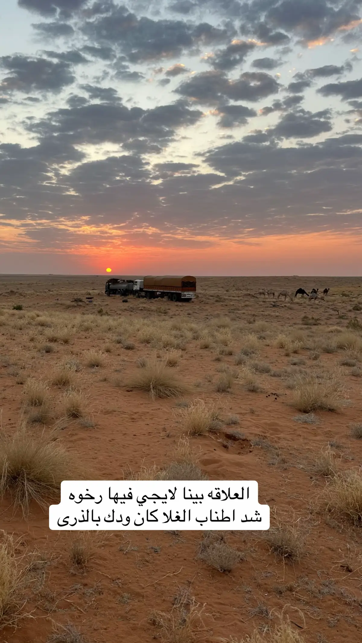 #محميه_الامام