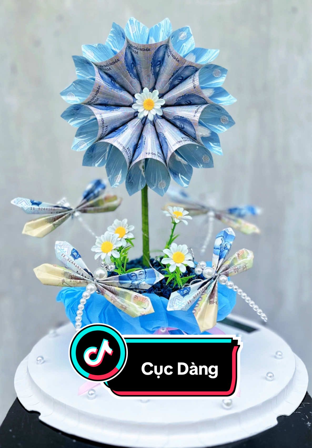 Anh chỉ có 1 cục dàng à #viral #hoatien #coflower #camhoa #gocsangtao 
