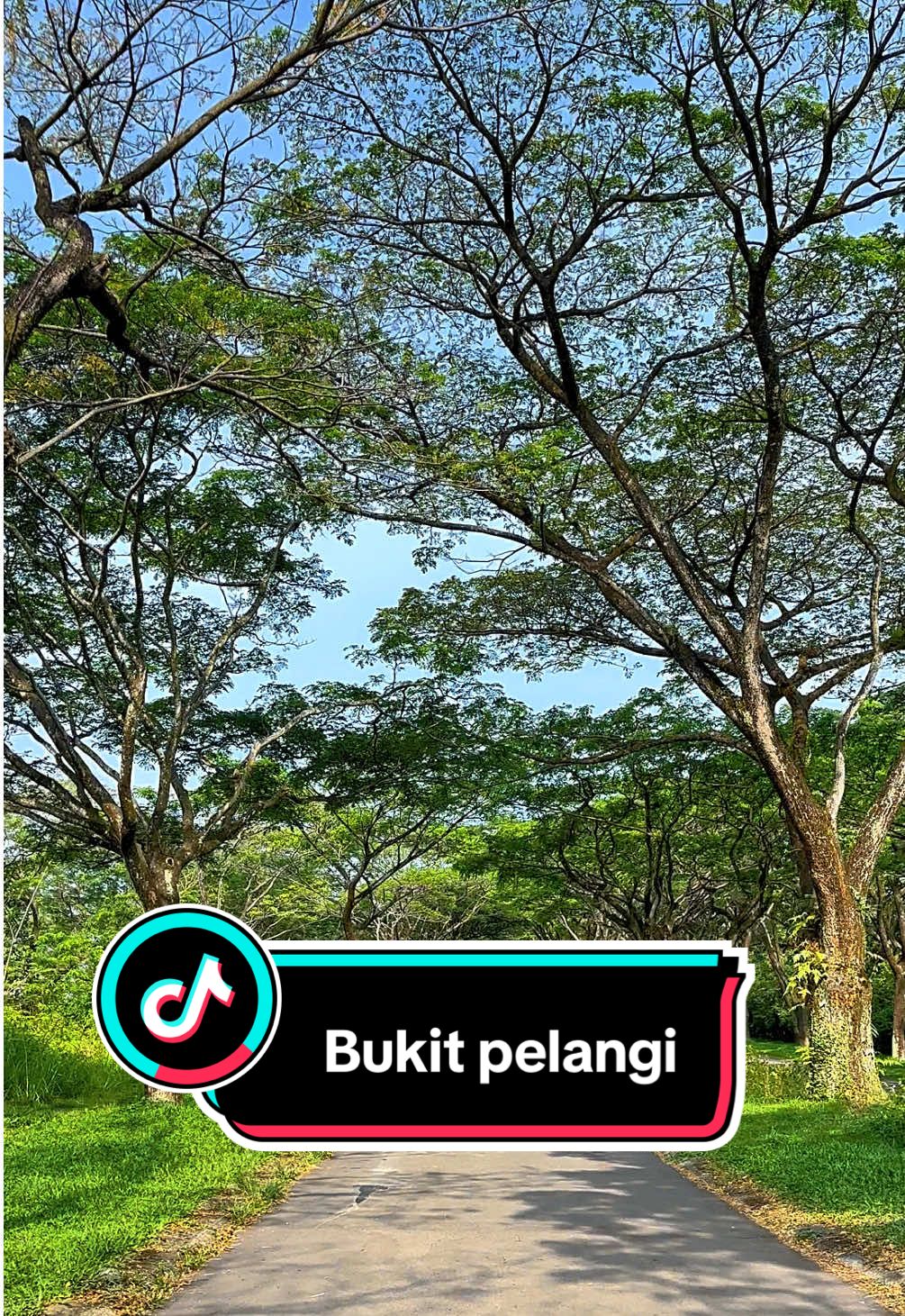 Siapa yang suka lewat sini kalau ke puncak#bukitpelangi #bp #puncakbogor #view 
