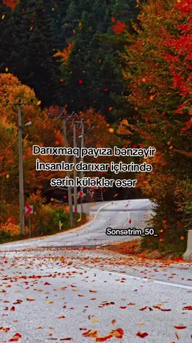 #keşfetbeniöneçıkarttiktok #payız#🍂🍁🍂🍁🖤 