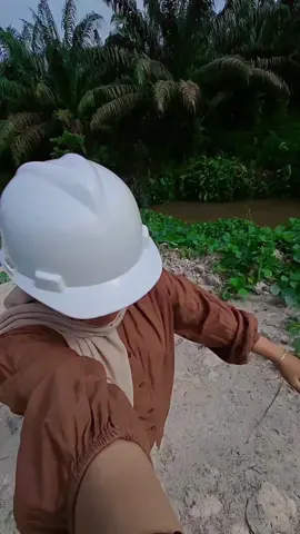 pov:cewek yang gak di ajak beli telur gulung🙏🤣 #kebunkelapasawit #planters #perkebunankelapasawit #fyp 
