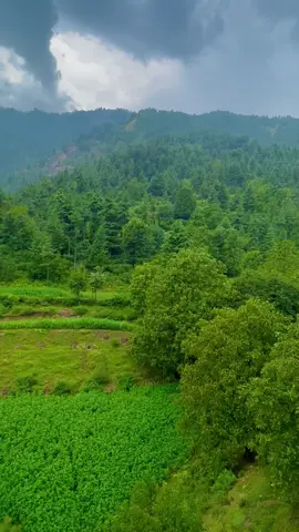 Beautiful Tirah valley Maidan ⛰️🌸#tirahvalley #explore #foryoupage #naturevibes #shahab_afridi313 