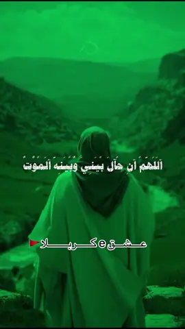 #loveahlebait🚩❤️🏴 #yahussainع #abbasalamdar #yahussainع #loveahlebait🚩❤️🏴 