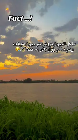#wd_tmem  #حصل_خير 