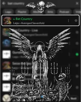 🌹 #batcountry #avangedsevenfold #lyrics #a7x 