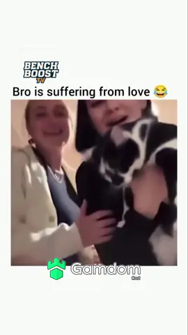 #fyp #trending #cat #catsoftiktok #cats 