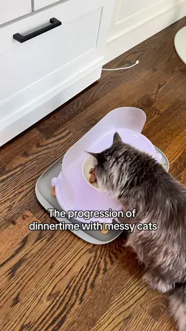 I absolutely love this bubble cat elevated dining table for cats. Our floors don’t have to be cleaned every single time we feed them! #catparent #catmom #catdad #messycat 