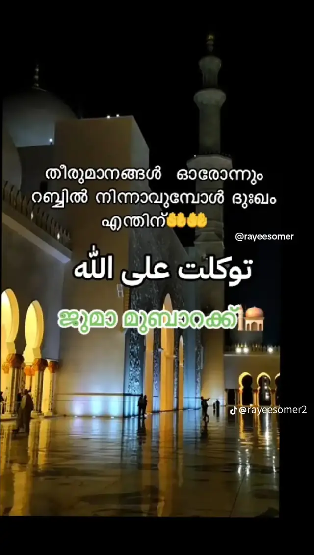 #rayeesomer2 