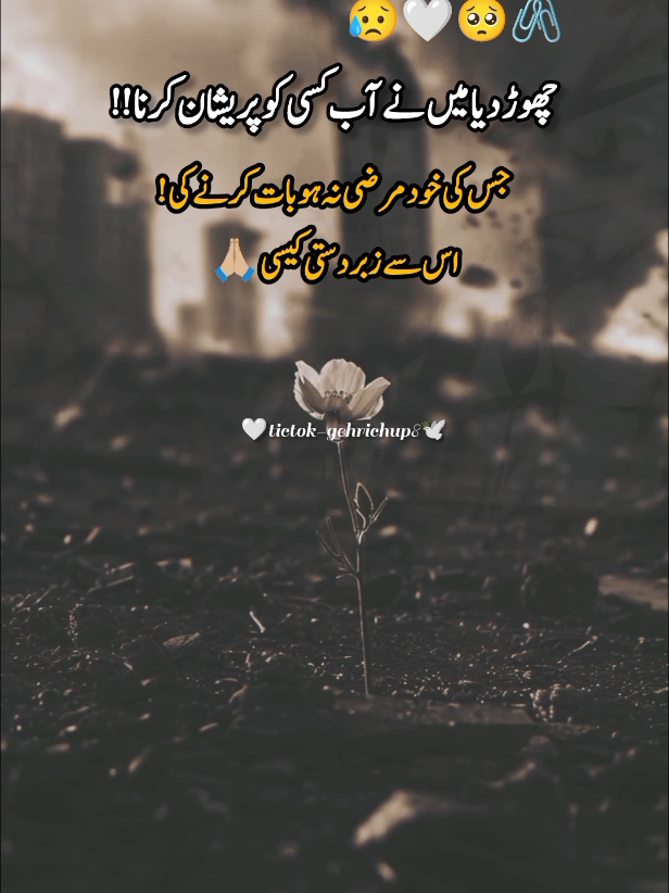 part-82 #gehrii_chupp8 🙏🏼چھوڑ دیا میں نے اب کسی کو پریشان کرنا ہے جس کی خود کی مرضی نہ ہو بات کرنے کی اس سے زبردستی کیسی 🤕😭🍂🖤🖇#viewproblem💔🥺🙏🙏 #saidpoetry💔😭💔 #foryou #unfrezzmyaccount 
